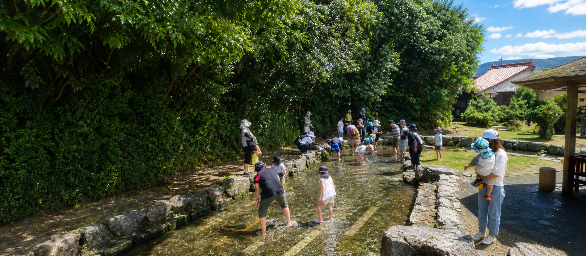 山あいの養鱒場と水のきれいな池